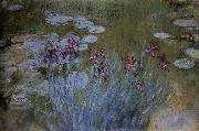 Irises and Water Lillies, Claude Monet